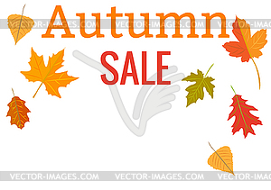 Design template. Autumn sales. Yellow autumn leaves - vector image