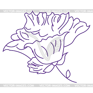 With iris in vintage engraving style - vector clipart