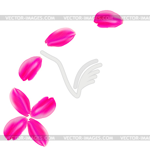 Set pink rose petals. White background - vector image