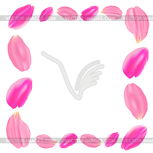 Set pink rose petals. White background - vector clipart