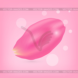 Set of pink rose petals on pink background - vector clip art