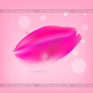 Set of pink rose petals on pink background - vector clipart