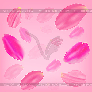 Набор розовых лепестков роз на розовом фоне - изображение в векторном формате
