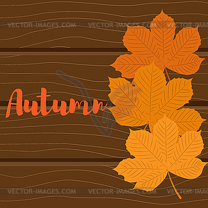 Autumn background. Leaves of chestnut yellow on - vector clipart