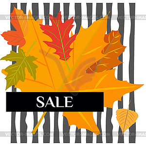  Autumn sales. Set of yellow leaves - vector clipart