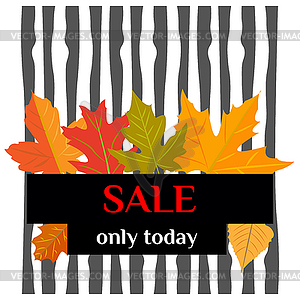  Autumn sales. Set of yellow leaves - vector image