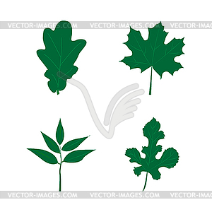 Набор зеленых листьев. Плоский стиль - векторное изображение