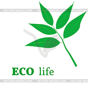 Eco life and green branch of plant. Leaves - vector EPS clipart