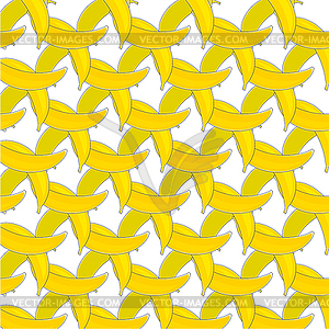 Banana - vector image
