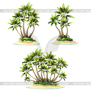 Tropical island with palm - vector clipart