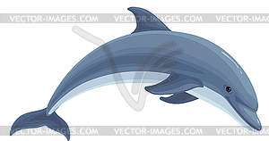 Dolphin. - vector clipart