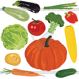 Autumn harvest on a white background - vector image