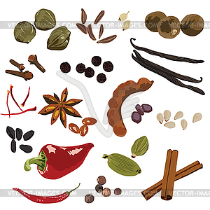 Spices on a white background - vector image