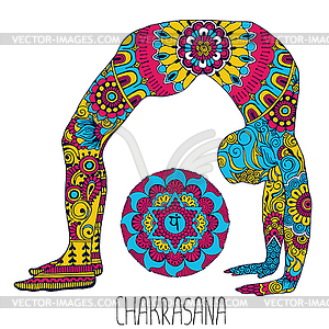 Chakrasana. Pose in yoga. - color vector clipart