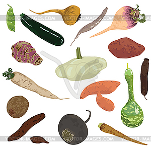 Vegetables on white background - vector EPS clipart