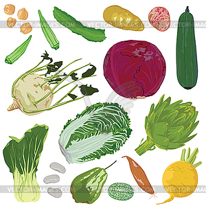 Овощи на белом фоне - векторная иллюстрация