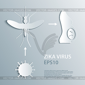 Mosquito aedes, zika virus and pregnant woman. - vector image