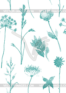 Seamless pattern with dry flowers and grass. with - vector image