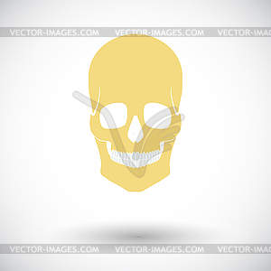 Anotomy skull - vector image