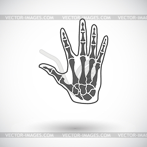 Anatomy hand - vector image