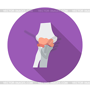 Knee-joint single flat icon - royalty-free vector image