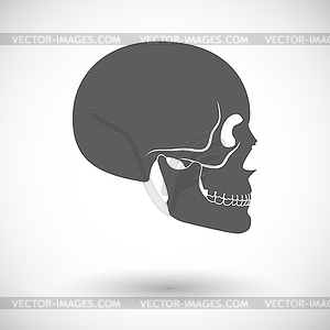 Anotomy черепа - векторное изображение EPS