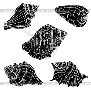 Seashells - vector clipart