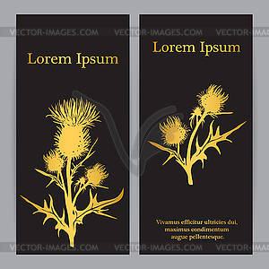 Decorative thistle (Carduus acanthoides) silhouette - vector image