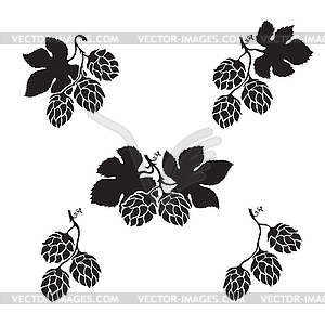 hops vector clipart