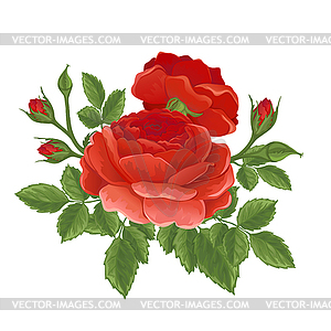 English red rose graphic flowers - vector image