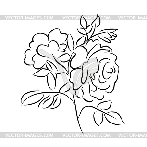 Sketch rose branch - vector clipart