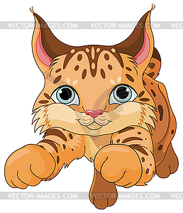 Lynx - vector image