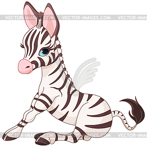 Zebra Foal - vector image