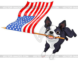 Boston Terrier Running Flag - vector clipart / vector image