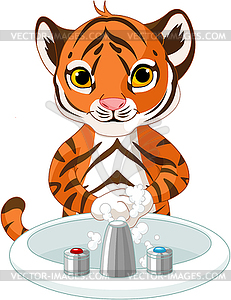Маленький тигр мытья рук - иллюстрация в векторном формате