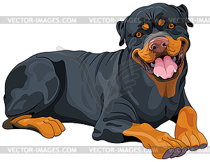 Rottweiler - vector clip art