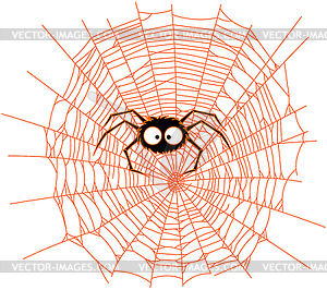 Spider - vector image