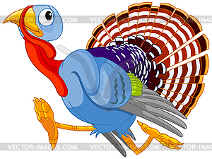 Running Turkey - vector clipart