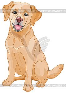 Golden Retriever - vector image