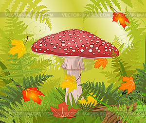 Amanita - vector image