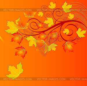 Autumn Leaves - vector clipart