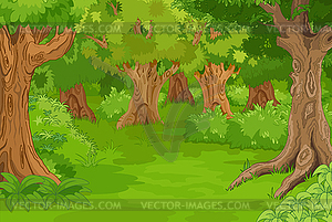 Forest Glade - vector image