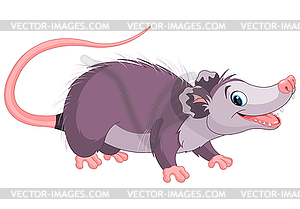 Opossum - vector clipart