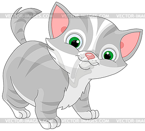 Striped Kitten - vector image