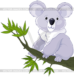 Koala on Tree - vector image