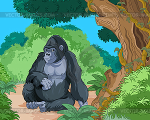 Sitting Gorilla - vector image