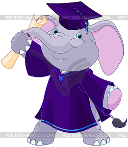 Elephant Graduates - vector image