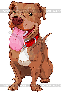 Pit-Bull - vector image