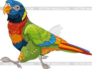 Running Lory Parrot - stock vector clipart