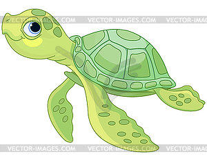 Sea Turtle - vector image